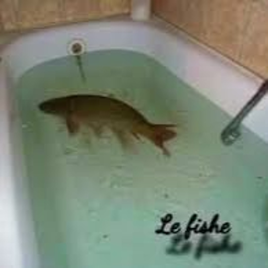 lefishe